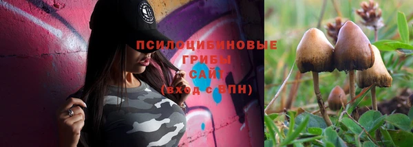 альфа пвп Нефтегорск